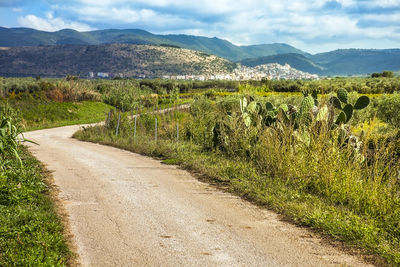 Road amidst green landscape against sky