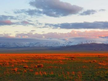 Scenic view of field against cloudy sky