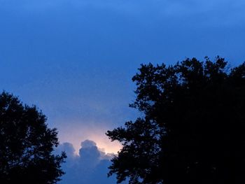 Low angle view of silhouette trees against sky at night