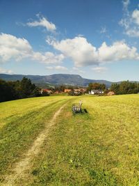 Scenic view of field against sky