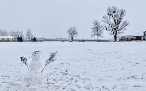 Bare trees on snow covered field against sky