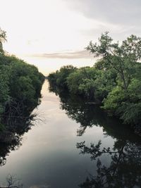 Scenic view of river amidst trees against sky