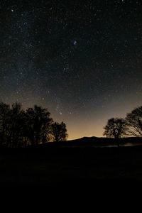 Silhouette trees against sky at night