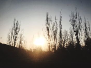 Silhouette trees against sky during sunset