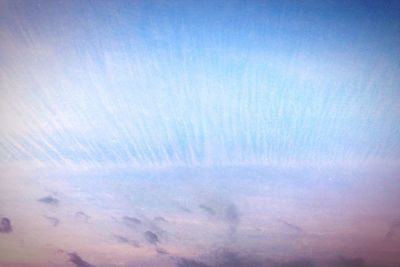 Low angle view of trees against blue sky