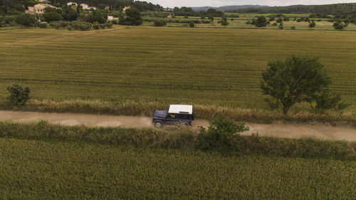 Scenic view of agricultural field