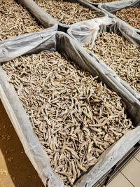 High angle view of hay in farm