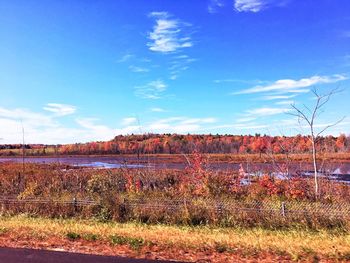Field against sky during autumn
