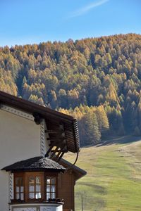 House amidst trees and buildings against sky