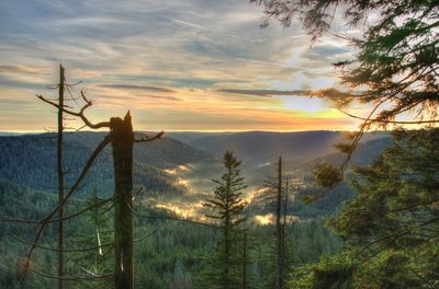 Scenic view of landscape against sky during sunset