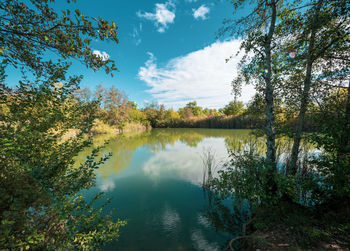 Scenic view of lake in forest against sky