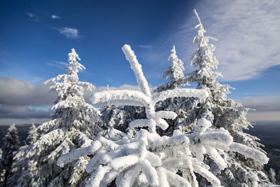 Close-up of snow on sea against sky