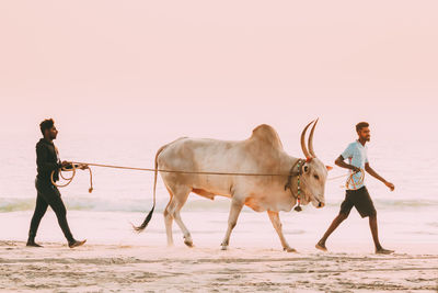 Full length of man walking on beach