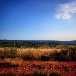 Scenic view of landscape against blue sky