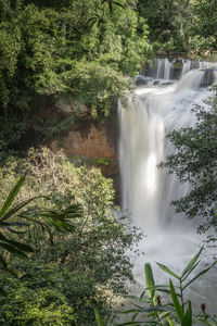 Scenic view of waterfall in forest