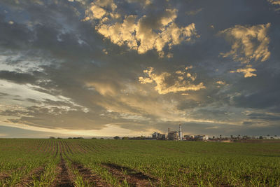 Scenic view of field against sky during sunset