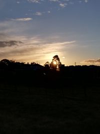 Silhouette trees on field against sky during sunset