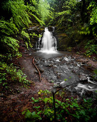 Waterfall in forest