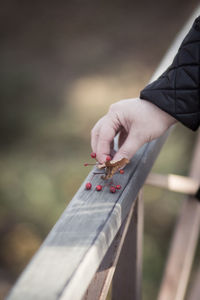 Close-up of hand holding fruits on wooden railing