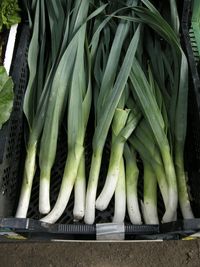 High angle view of fresh leek vegetables in crate at market stall