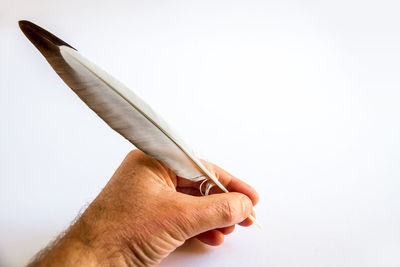 Close-up of hand holding crane against white background