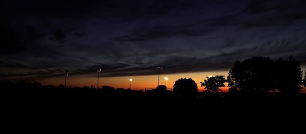 Silhouette of trees at sunset