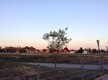 Scenic view of field against clear sky during sunset