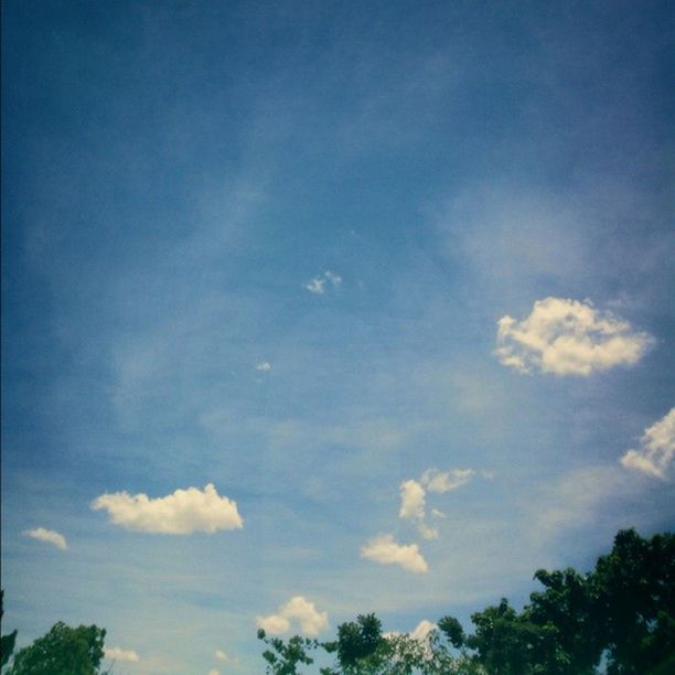 low angle view, sky, blue, tree, tranquility, beauty in nature, scenics, tranquil scene, nature, cloud - sky, cloud, growth, idyllic, outdoors, day, no people, sunlight, high section, cloudy, non-urban scene