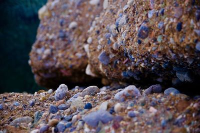 Close-up of rocks