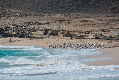 People on beach