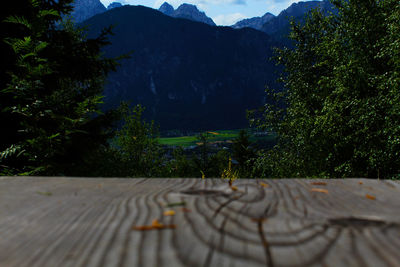 Footpath by trees against mountains