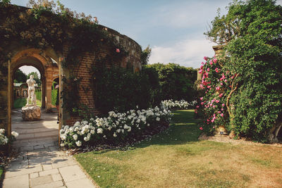 View of footpath with trees in background