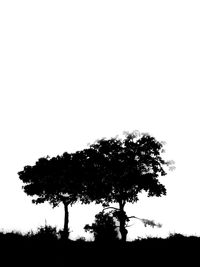 Low angle view of silhouette tree in field against clear sky