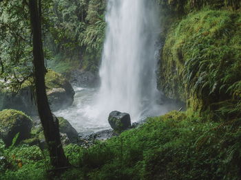 Scenic waterfall in the forest, aberdare ranges on the flanks of mount kenya