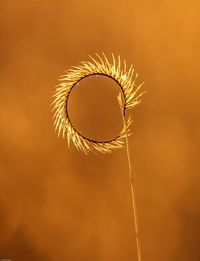 Close-up low angle view of sky