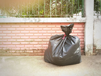View of a horse in the wall