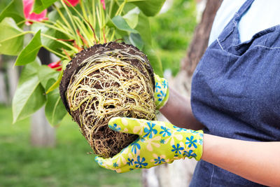 Midsection of woman holding plant