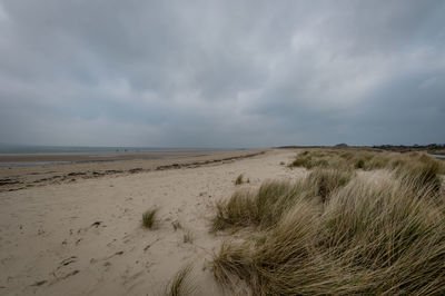 Scenic view of beach against sky