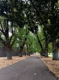 Empty road along trees in park