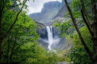 Scenic view of waterfall in forest