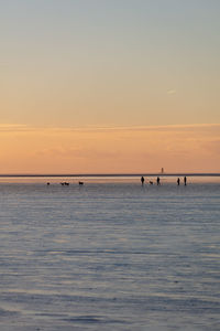 A smal group of people take a walk with dogs in the mud flat of north sea at low tide