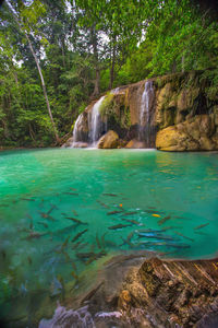 Scenic view of waterfall