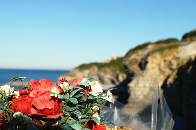 Close-up of bougainvillea by sea against clear sky