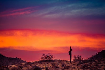 Silhouette person on landscape against sky during sunset