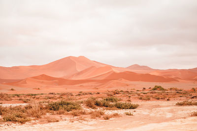 Scenic view of desert against sky