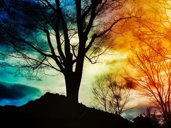 Silhouette of bare tree against sunset sky