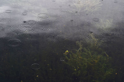 Full frame shot of rippled water