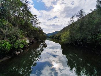 Scenic view of lake amidst trees in forest against sky