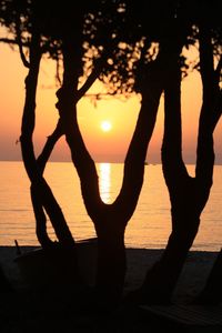 Silhouette tree against sea during sunset