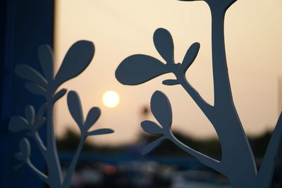 Close-up of water against sky during sunset